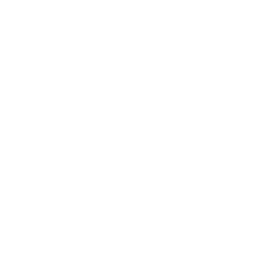 SEARCH